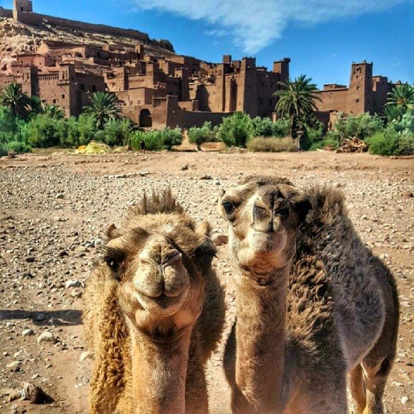 EXCUURSION AIT BEN HADDOU